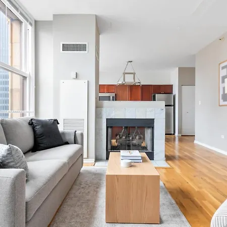 Loop 2Br W Gym Doorman Same Block As L Chi-674 Appartement